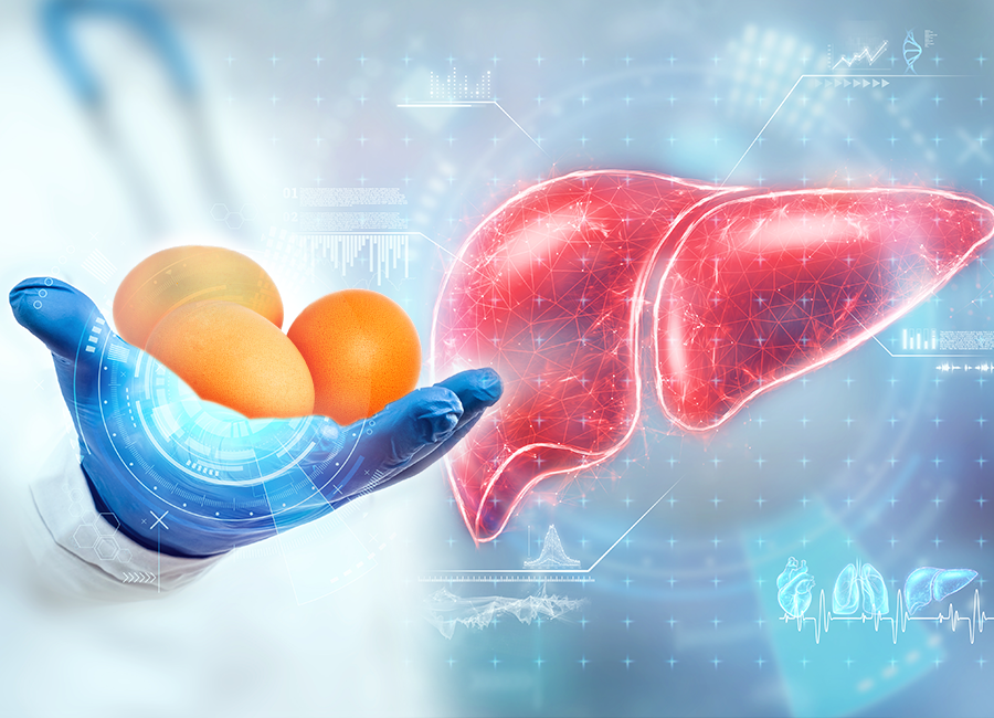 La colina, el nutriente del huevo que protege la salud hepática